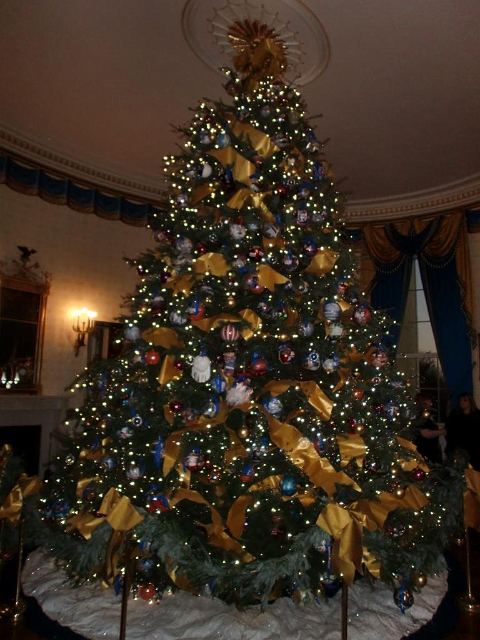 White House Christmas 2009 067.jpg